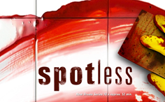 Spotless: the new Création Originale Canal+ produced by Tandem Communication