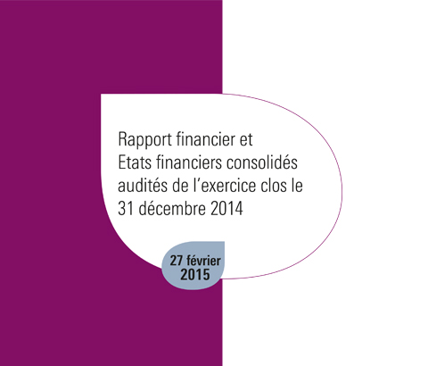Template Rapport financier et Etats financiers consolidés audités de l'exercice clos le 31 décembre 2014