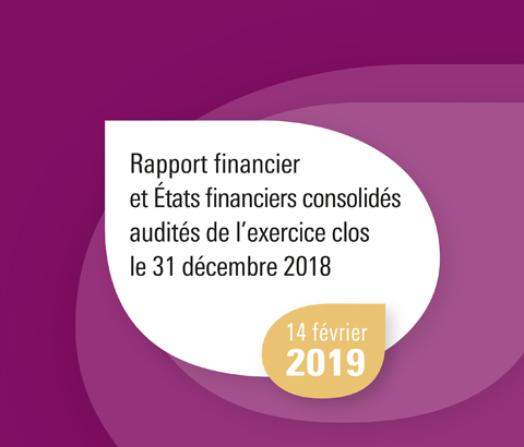 Template Rapport financier et Etats financiers consolidés audités de l'exercice clos le 31 décembre 2018